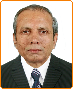 Mr. Shridhar P. Joshi